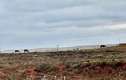 N 283 Highway, Cheyenne, OK 73628