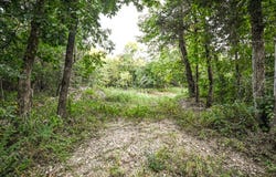 Old Copperhead Road, Isabella, MO 65676