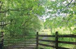 1150 S Stacy Springs, Quitman, AR 72131