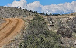 839 Shannon Trail, Cotopaxi, CO 81223