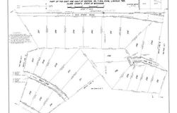 Wolf Lane lot: 292, Farwell, MI 48622