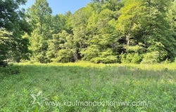 407 Grasslick Rd, Gassaway, WV 26624