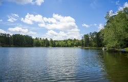 853 Edisto Lake Road, Wagener, SC 29164