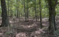 Tbd County Road 946, Squires, MO 65755