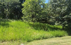 19382 Babler Forest Road, Chesterfield, MO 63005