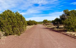 Tbd Co Rd 8269 Lots 150 & 151, Concho, AZ 85924
