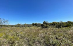 Tbd Lot 11 FM 339, Mount Calm, TX 76673