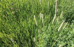 Tbd County Road 531/340, Los Ojos, NM 87575