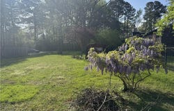 509 Cedar Road, Chesapeake, VA 23322