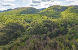 161 GLOVER RUN, GOSHEN, VA 24439