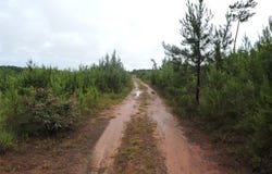 0 Montezuma Road, Greenville, AL 36037