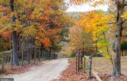 695 WHIPPOORWILL LANE, SHIPMAN, VA 22971