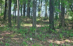 Deer Tract Circle, Lancaster, SC 29720