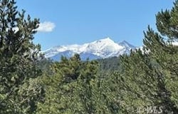 384 Macdonnell Lp, Texas Creek, CO 81223