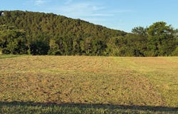 Lot 32 Dry Fly Court, Flippin, AR 72634