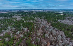 Sandtown Road, West Point, GA 31833