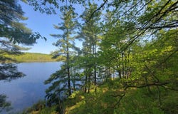 00 Maple Ridge Rd, DeKalb Junction, NY 13642