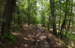 000 Long Gum Lane, Russellville, AR 72802