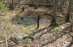 TBD Deerton-Sand Lake Road, Deerton, MI 49822