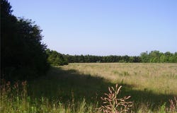 3525 S 240th Road, Louisburg, MO 65685