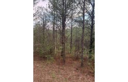 00 Virg Road, Preston, MS 39354