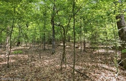 Dover Lane, Madison, MS 39110