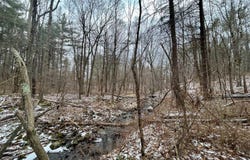 L90 County Route 9, East Chatham, NY 12060