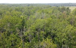 39XX S County Rd O, Maple, WI 54820