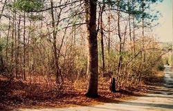 9880 Wolf Trap Ln, Dayton, VA 22821