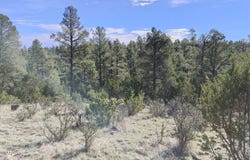 2316 Thunderbird Circle, Overgaard, AZ 85933