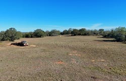 7180 CR 283, Harwood, TX 78632