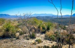 21419 Garnet Ave, Terlingua, TX 79852