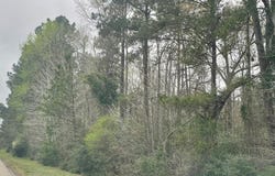 tract 2 HWY 96 N, Jasper, TX 75951