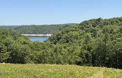 Tract 3 Hwy 196, Nancy, KY 42544