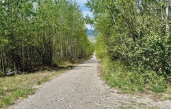 74/75 E ELKHORN DR, Thayne, WY 83127