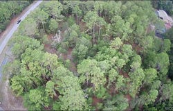 9223 N Bertin Drive, Citrus Springs, FL 34434