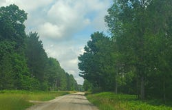 80 ACRES BEALL ROAD, BEAR LAKE, MI 49614