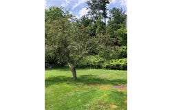15 Spencer Drive, Oneonta, NY 13820
