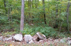Chowanec Road, Columbia, CT 06237