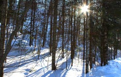 ON SKYE DR, Upson, WI 54565