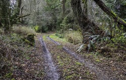 3199 Woodcock Rd, Sequim, WA 98382