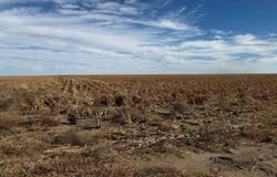 000 CO RD A, Cheyenne Wells, CO 80810