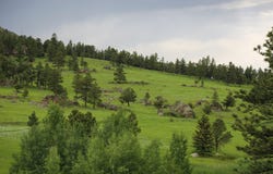 TBD Old Flowers Road, Bellvue, CO 80512
