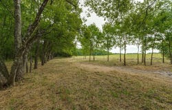 3805 County Road 3805, Wolfe City, TX 75496