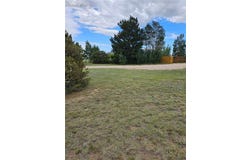 5665 Whiting Way, Peyton, CO 80831