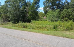 Highway 43, Mount Vernon, AL 36560