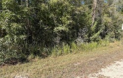 108TH Avenue NE, BRONSON, FL 32621