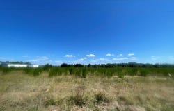 0 N Kings Highway, Sumter, SC 29154