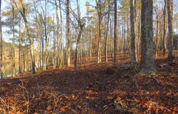 ROCK RIDGE LANE lot: #3, Arley, AL 35541