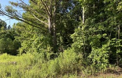 MS-373, Columbus, MS 39705